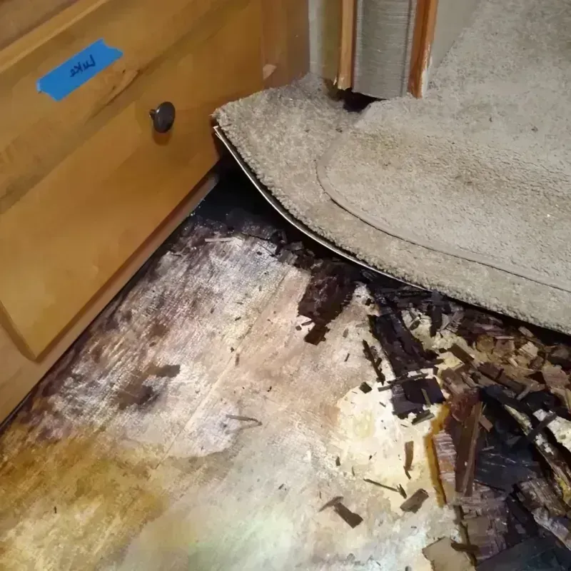 Best Wood Floor Water Damage Service in North River Shores, FL